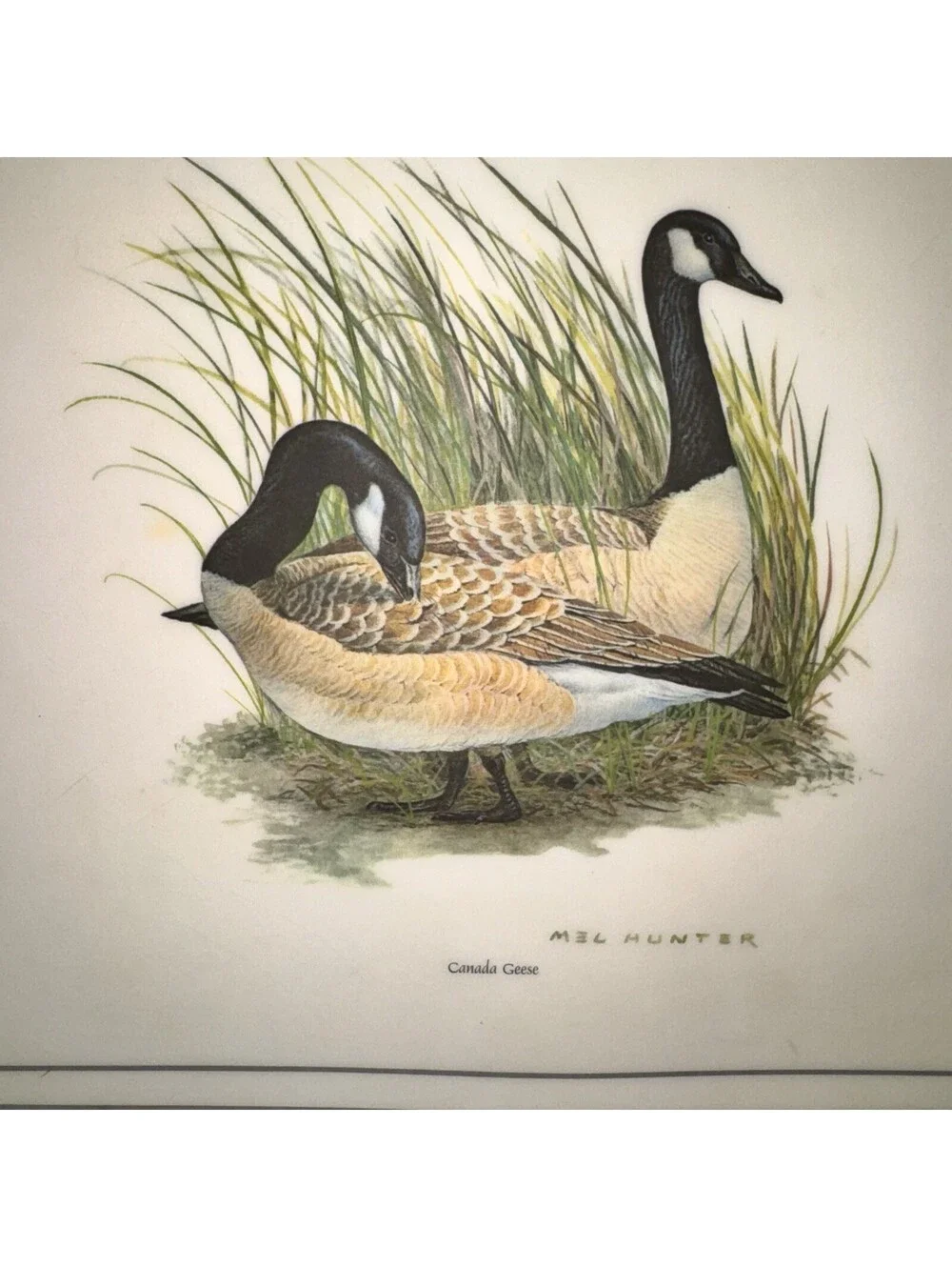 4 Vintage Mel Hunter Canada Geese Wildlife Placemats Duck Hunting Cabin 11x17